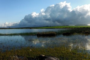 Complejo Endorreico de El Puerto de Santa María